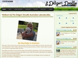 DIDGERI-DOODLE AUSTRALIAN LABRADOODLES THE