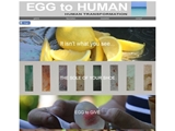 EGG TO HUMAN