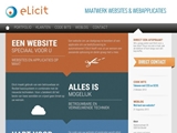ELICIT SOFTWARE & WEBSITES