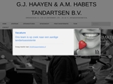 HAAYEN G J & HABETS A M TANDARTSEN BV