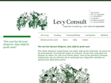 LEVY CONSULT