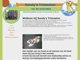 SANDY'S TRIMSALON