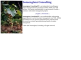 SONNENGLANZ CONSULTING BV