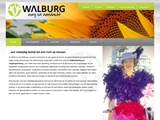 LIES WALBURG ZORGBEGELEIDING
