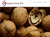 CASPIAN NUTS BV