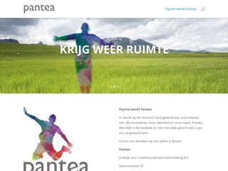 PSYCHE PSYCHOLOGISCH ADVIES BV