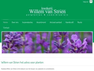 STRIEN WILLEM VAN