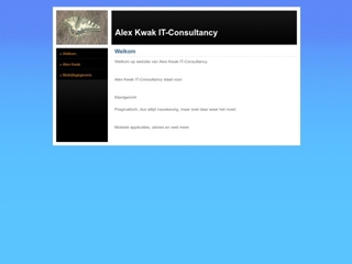ALEX KWAK IT-CONSULTANCY