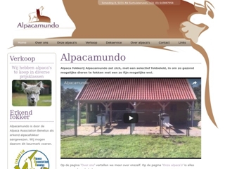 ANIMUNDO
