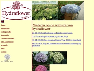 HYDRAFLOWER