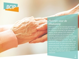 BCIP BV