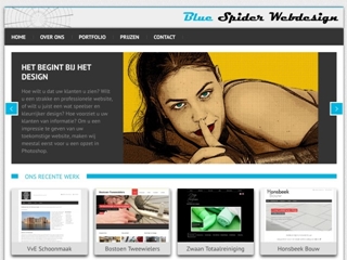 BLUE SPIDER WEBDESIGN