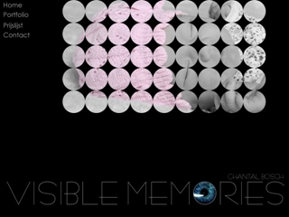 VISIBLE MEMORIES
