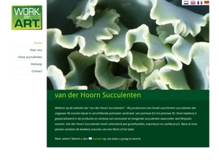 HOORN SUCCULENTEN VD