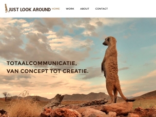 JUST LOOK AROUND