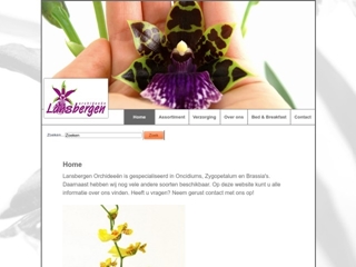 LANSBERGEN ORCHIDEEEN