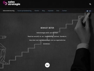 SALESSTRATEGIE   ADVIES EN DIENSTEN