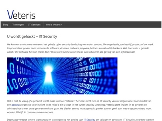 VETERIS IT SERVICES